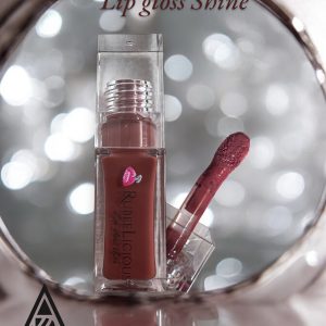 Lip Gloss Shine N•73